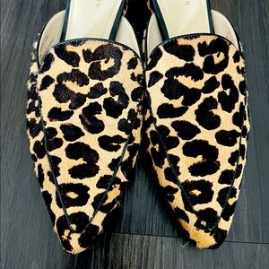 Cole Haan Mules, leopard, size 6.5